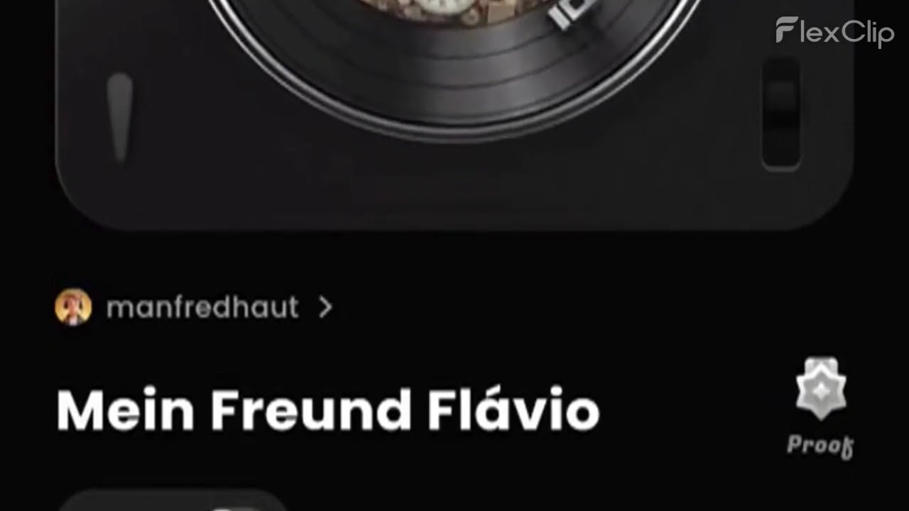 MEIN FREUND FLÁVIO V II 16   9