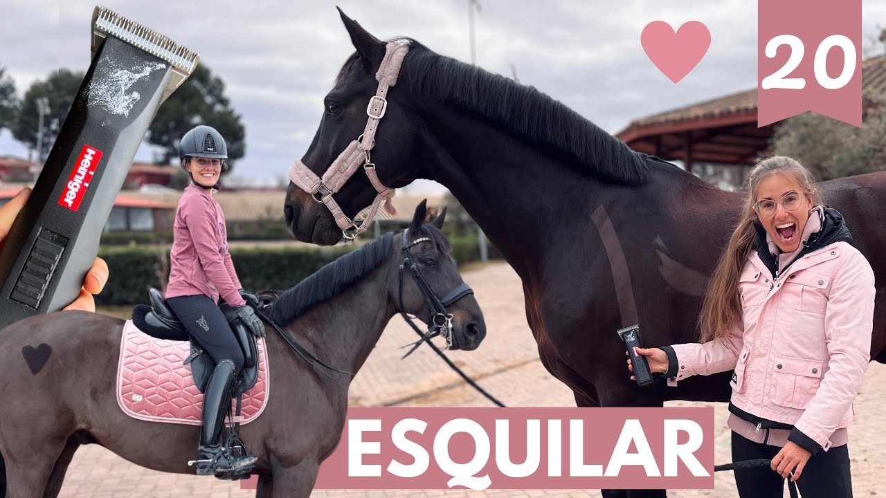 Liberty esquilado! 😱✨Como esquilar a un caballo 🐴