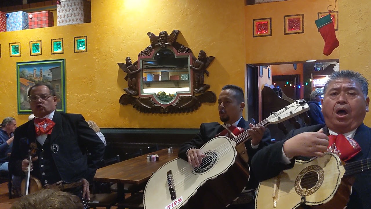 Cucurrucucu Paloma - Mariachi Emperadores De Mexico: Galveston 2 (12-8-2021) @ Salsa's