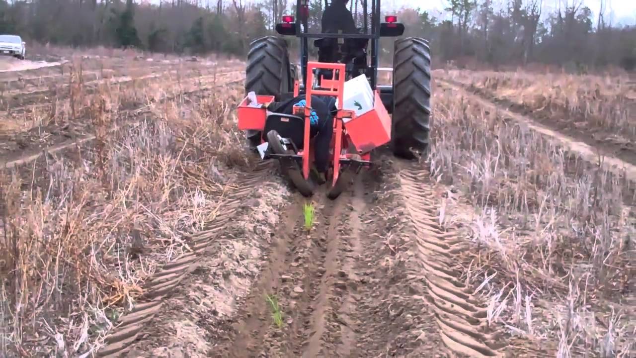 Machine planting Longleaf pine seedlings Jan 7, 2011