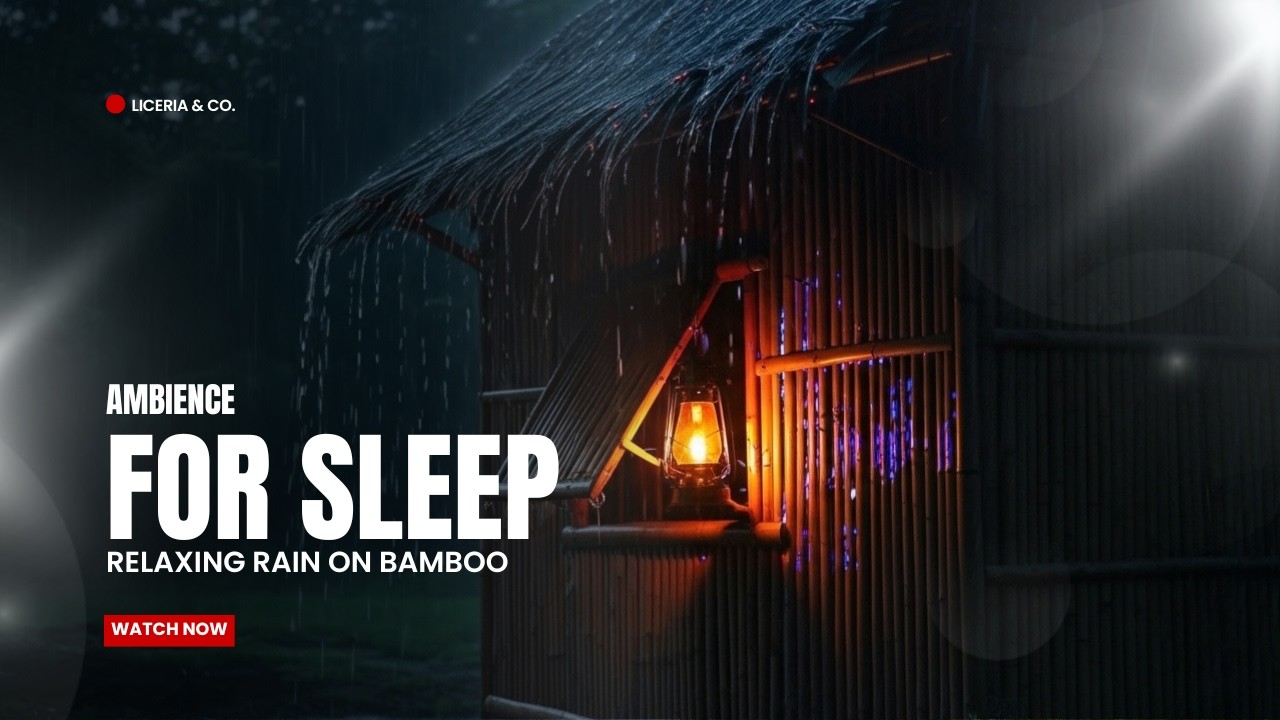 Relaxing Rain on Bamboo Hut with Warm Lantern Light 🌧️ Cozy Night Forest Ambience for Sleep & Study