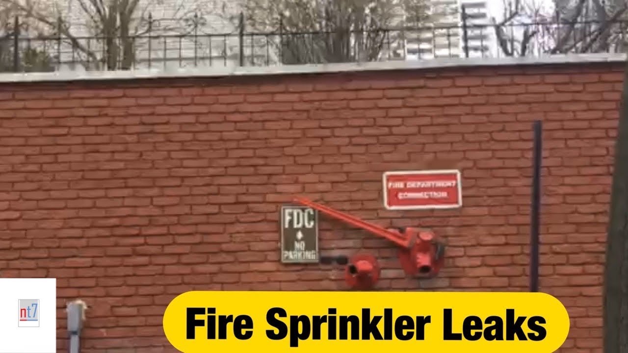 You Won't Believe What's Hiding in Your Fire Sprinkler System!