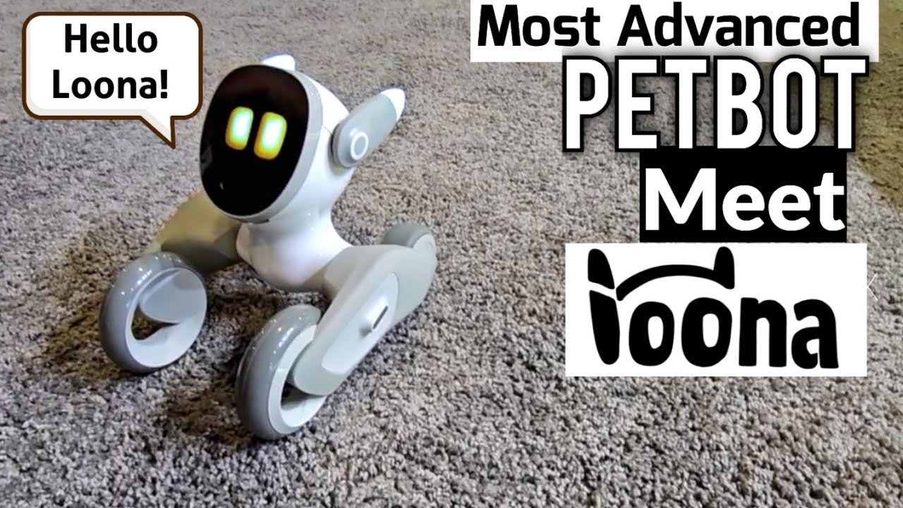 Petbot Loona - Highly Interactive Pet CES 2025