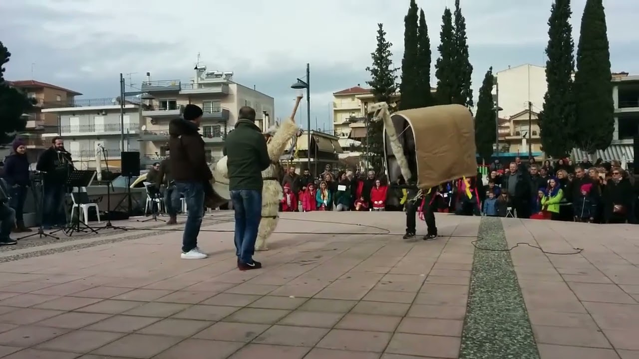 ΚΑΜΗΛΕΣ ΚΑΙ ΝΤΙΒΙΤΖΙΔΕΣ 2014