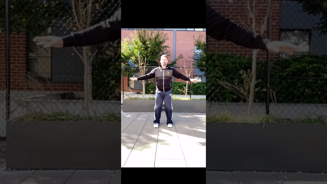 Short moving and stillness standing chi gong series #chigong #qigong #healing #cptsd #zhanzhuang#zen