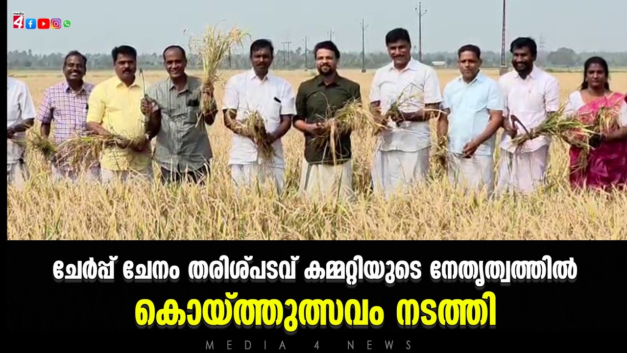 ചേർപ്പ് ചേനം തരിശ്പടവ് കമ്മറ്റിയുടെ നേതൃത്വത്തിൽ കൊയ്ത്തുത്സവം നടത്തി