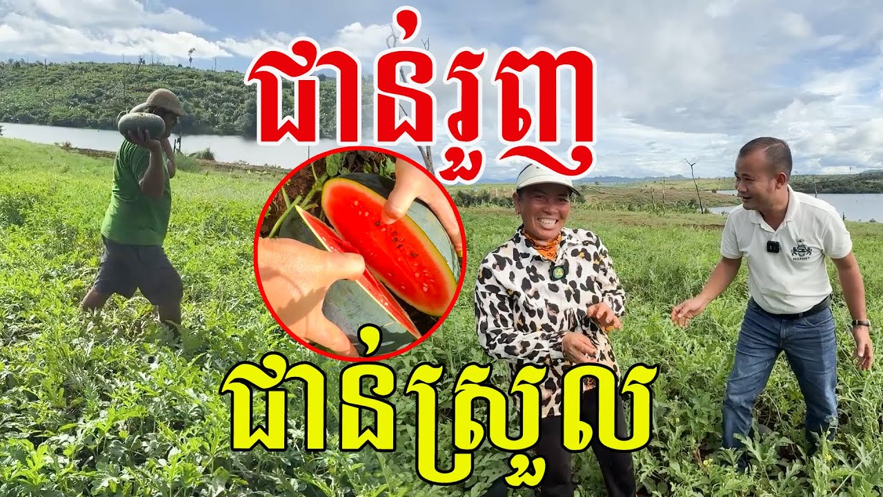 សើចរឹងពោះ មីងថាឪឡឹកជាន់រួញ ខុសពីនេះ😆