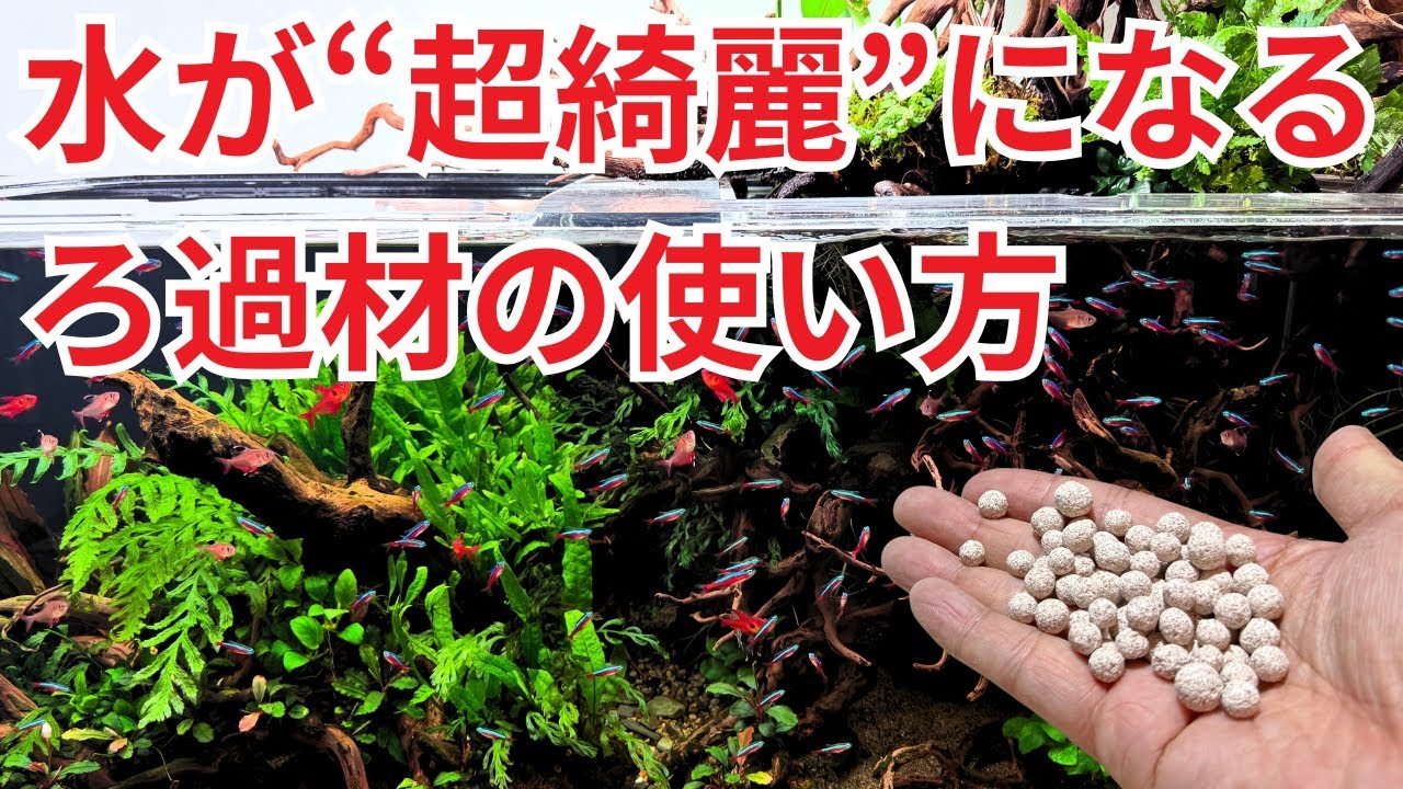 【プロが教える】アクアリウムのろ過材完全攻略！水の透明度が爆上がりするろ過システム構築術