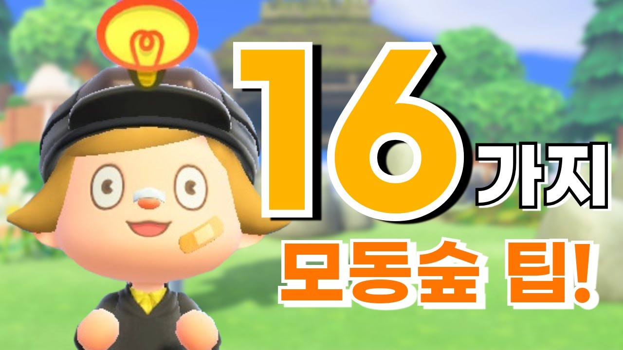 당신이 몰랐던 모동숲 꿀팁🍯 초보? 고인물? 다 드루와