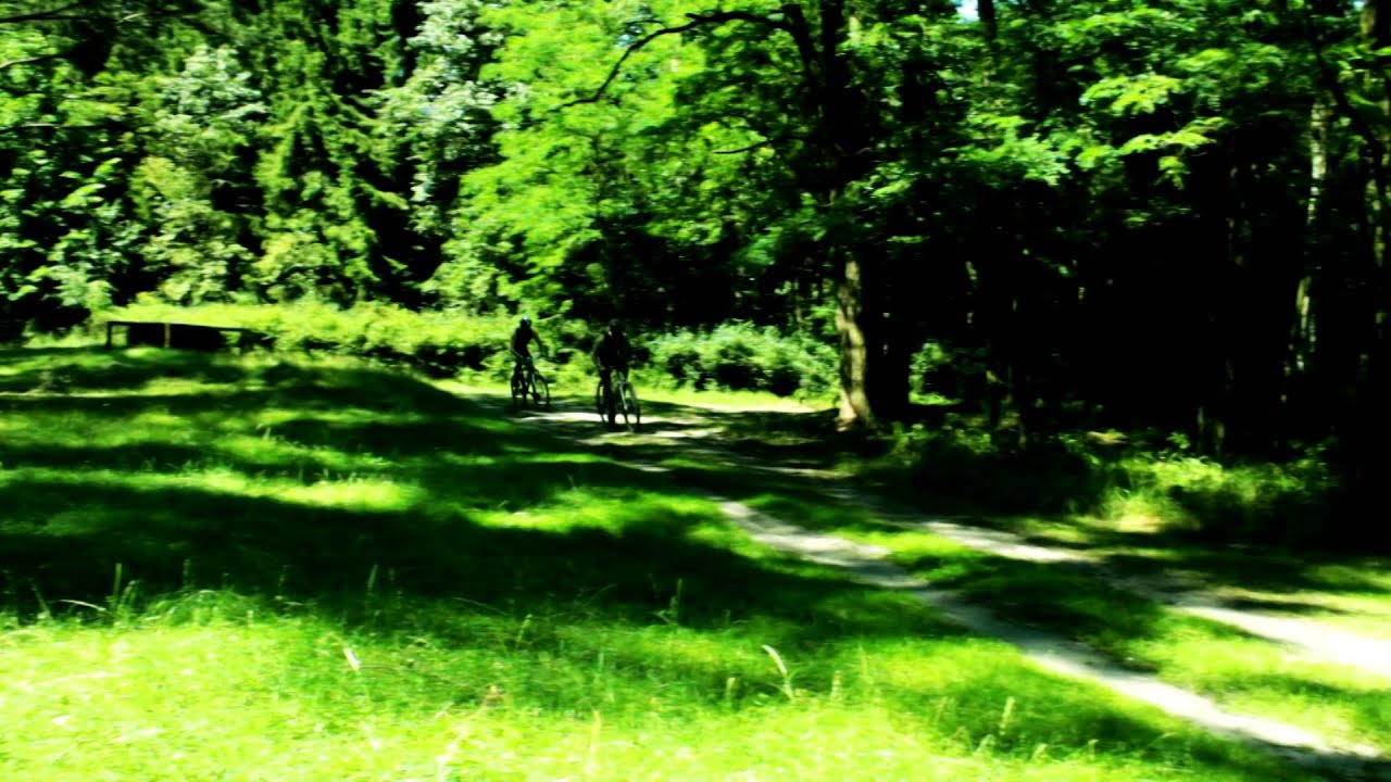 Triathlon Czerwonak 2015 - zapowiedź