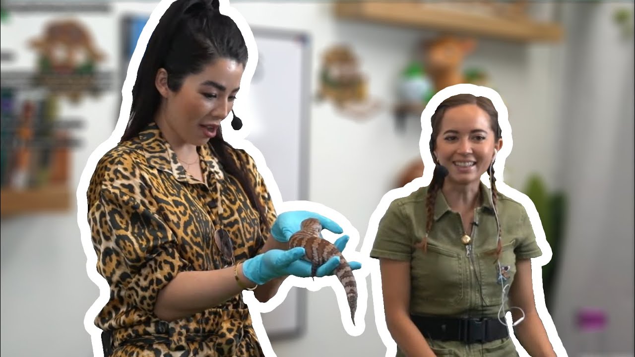 Nerve Center Ep 6: Caroline Kwan - 5/9/23