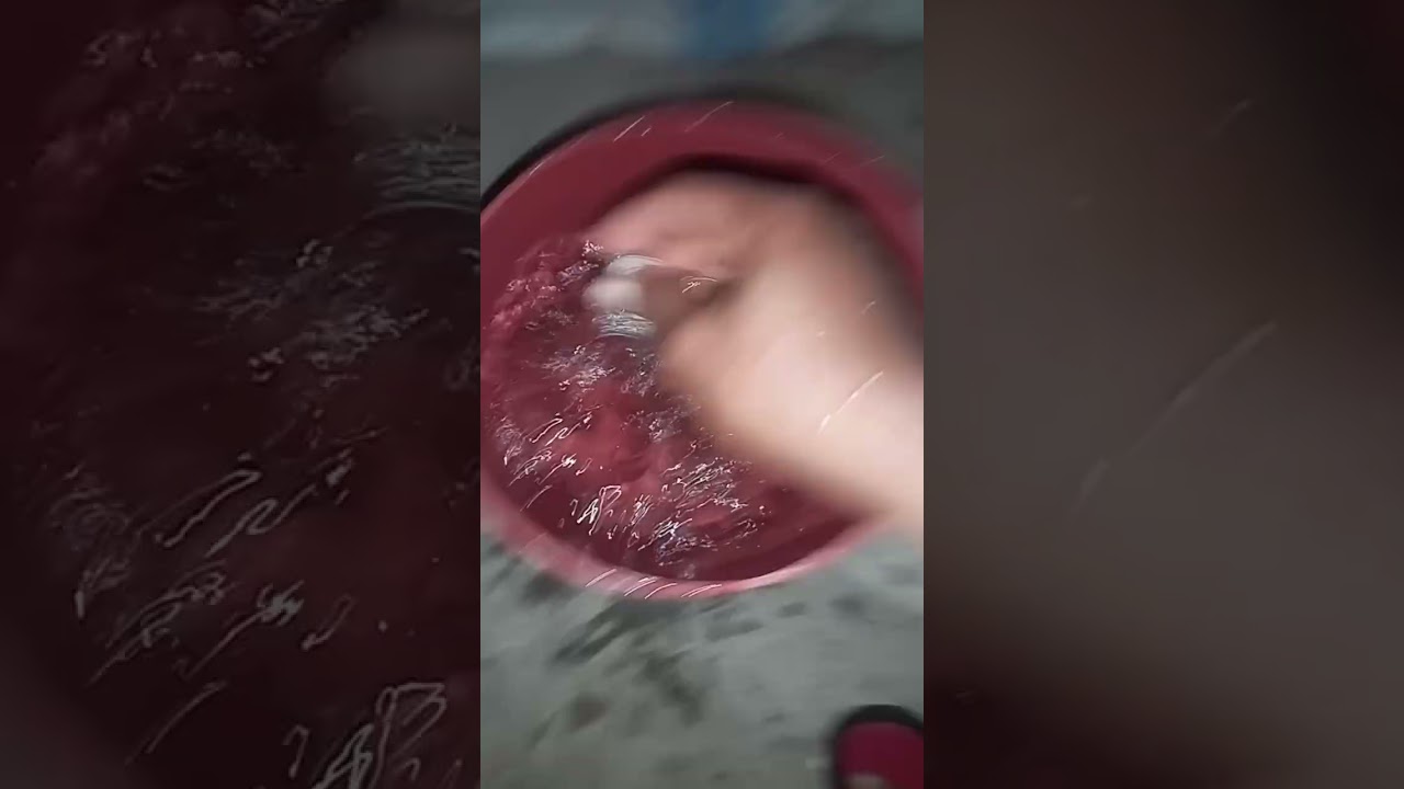 Jinsi ya kuwapa vifaranga chanjo ya Newcastle/Mdondo