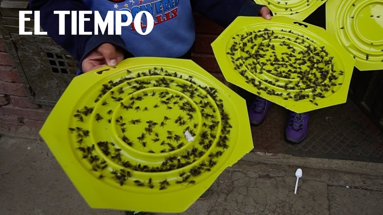 La problemática del relleno Doña Juana | EL TIEMPO