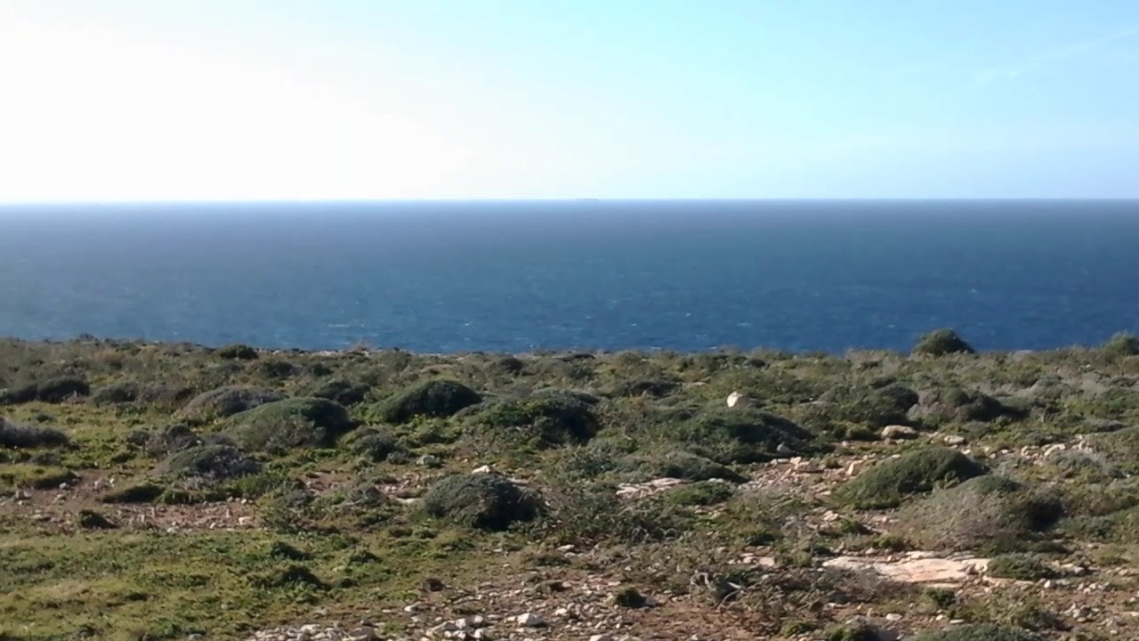 27/1/2019 Isola Lampone, Isole Pelagie, Africalia