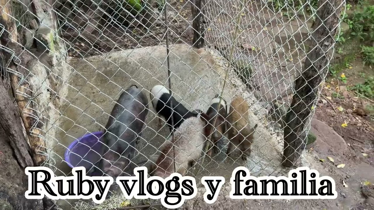 Que les parece la nueva portada ..!!🫣#viralvideos #rubyvlogsyfamilia 