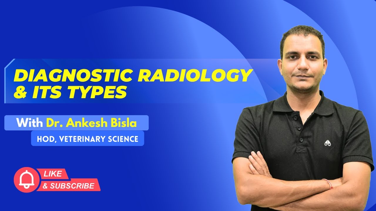 DIagnostic Radiology & Its Types | By Dr. Ankesh Bisla | Wise IAS