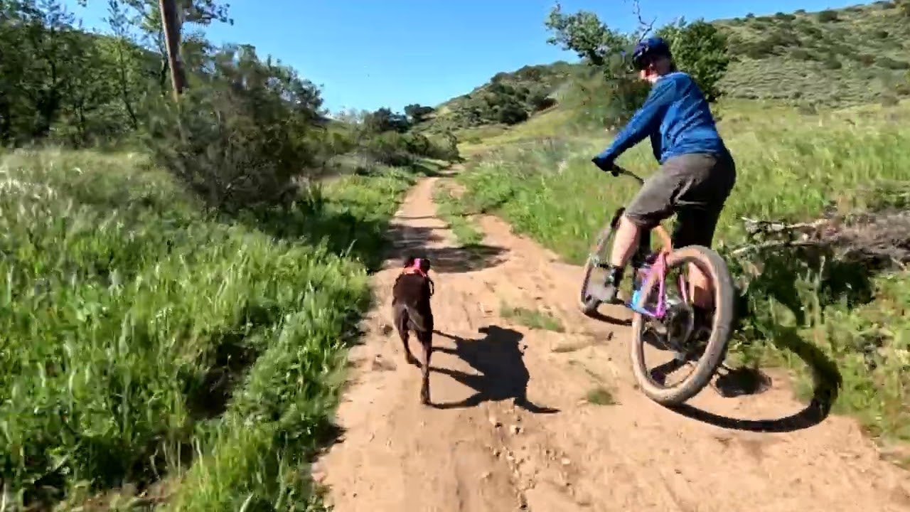 Sin Nombre : Two Foxes MTB Trail