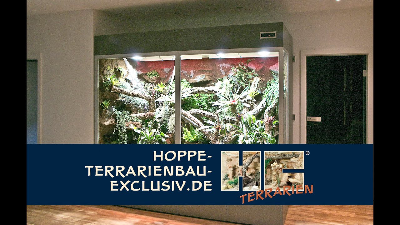 Regenwaldterrarium für Baumwarane - Varanus macraei