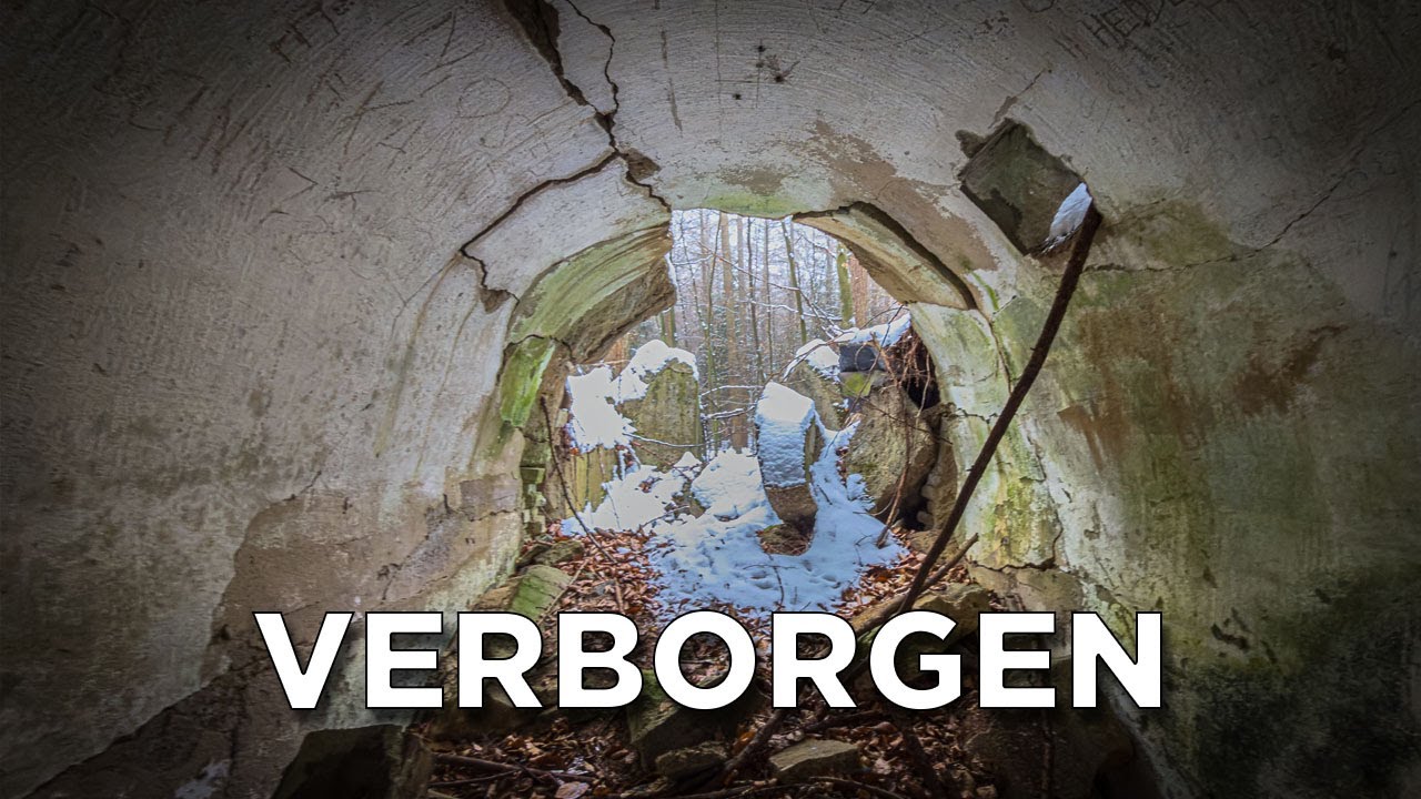 Dieser Wald verbirgt ein geheimes Marine-Arsenal der Nazis