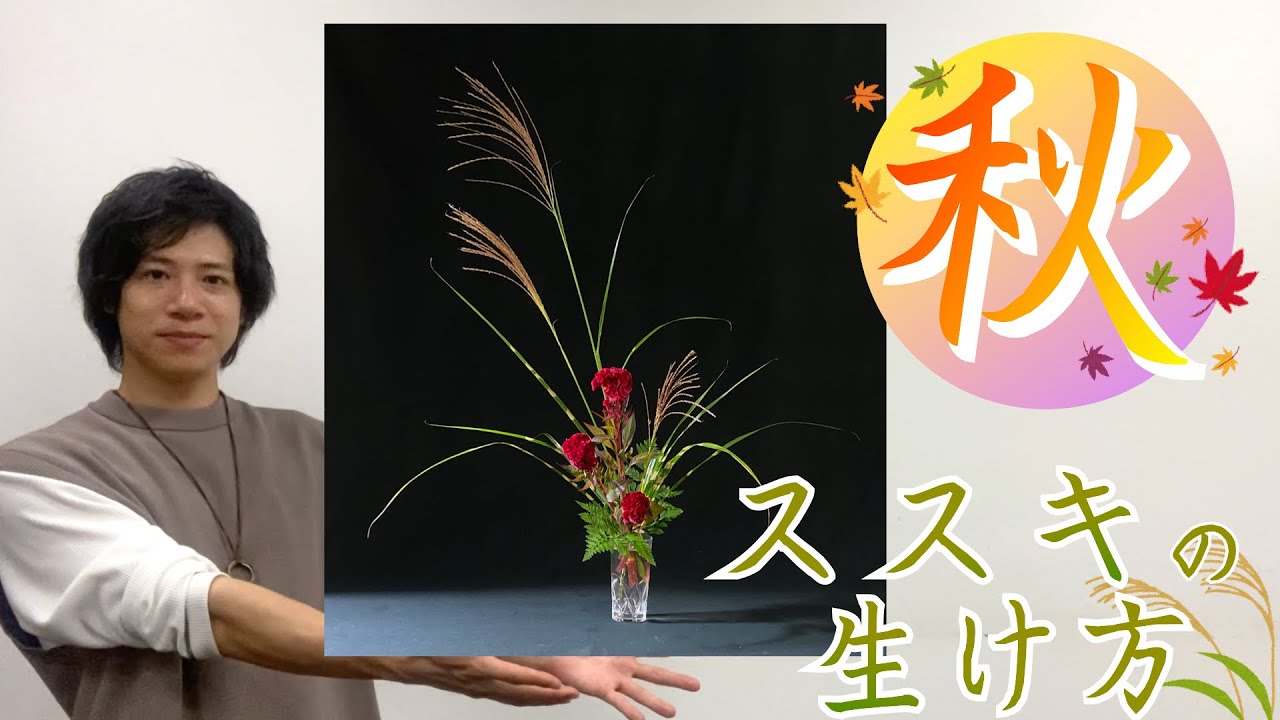 ２つのポイントで簡単本格「秋」の生け花！ススキのポイントやテクニックを大公開...！！【初心者/基本】