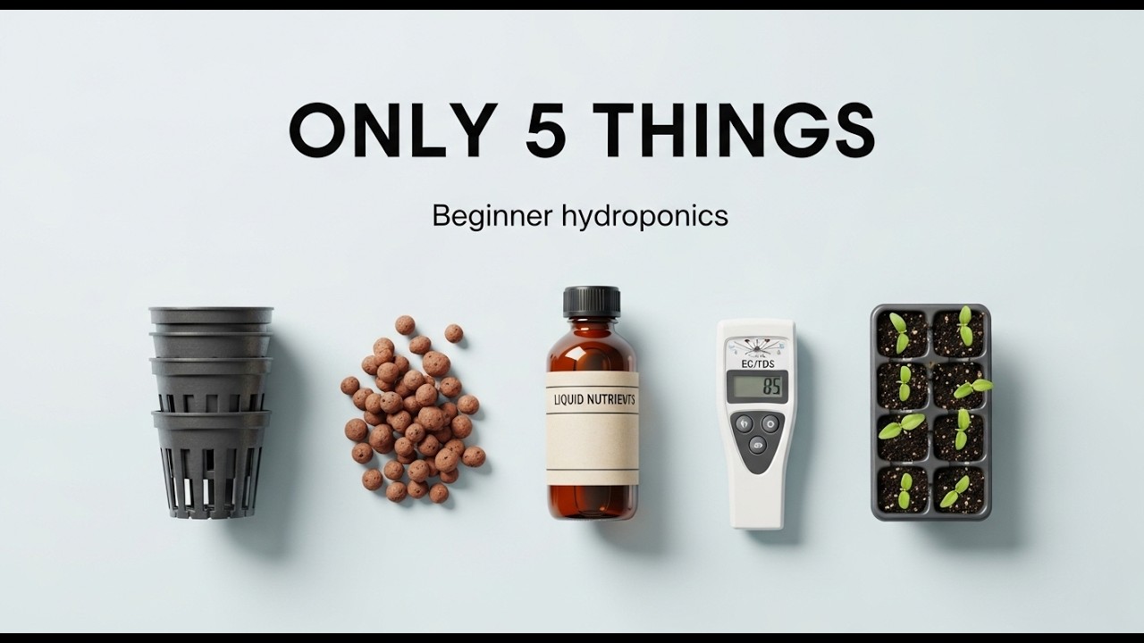 🌿 Hydroponics Beginner Setups Explained 🌿