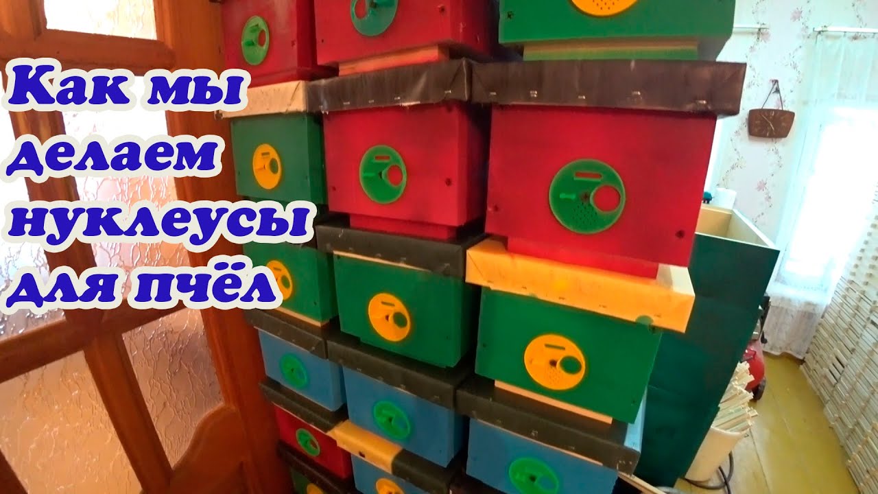 КАК МЫ ДЕЛАЕМ МИНИ НУКЛЕУСЫ НА ТРИ РАМКИ, ПАСЕЧНЫЕ СТОЛЯРНЫЕ РАБОТЫ.