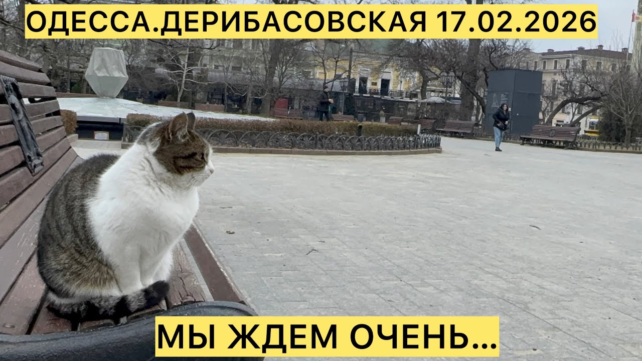 ✅ОДЕССА.ДЕРИБАСОВСКАЯ 17.02.2026 МЫ ЖДЕМ ОЧЕНЬ…