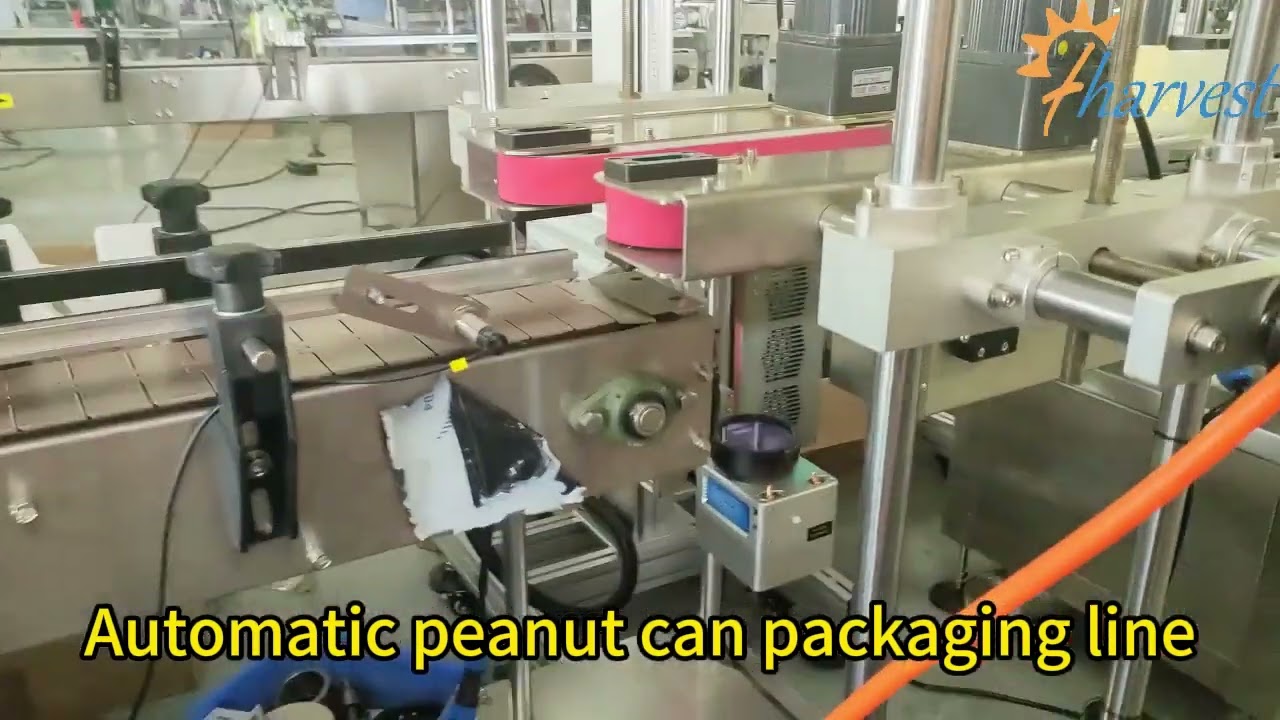 Riempitrice automatica di pesatrici per arachidi, linea di etichettatura per sigillatura