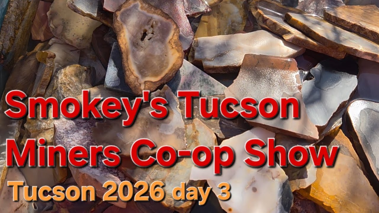 Smokey's Tucson Miners Co-op Rock Show, 2026 Walk-through, Tucson, AZ.