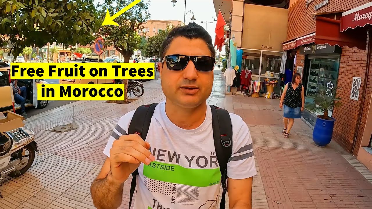 I Found Free Fruit Trees on Streets in Morocco - EP-12