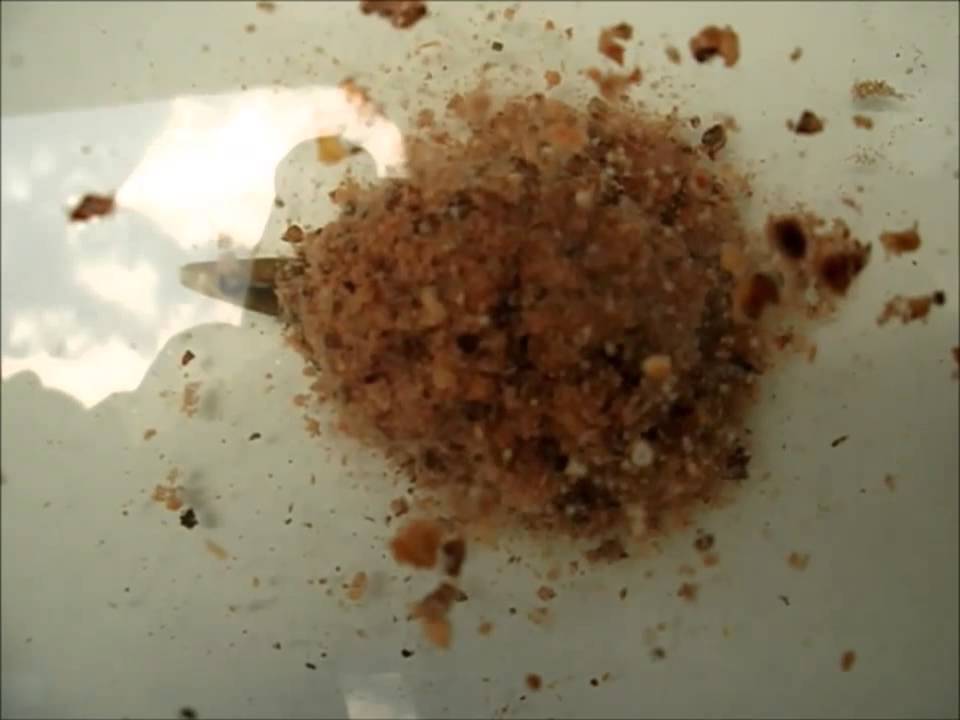 Method Feeder Underwater