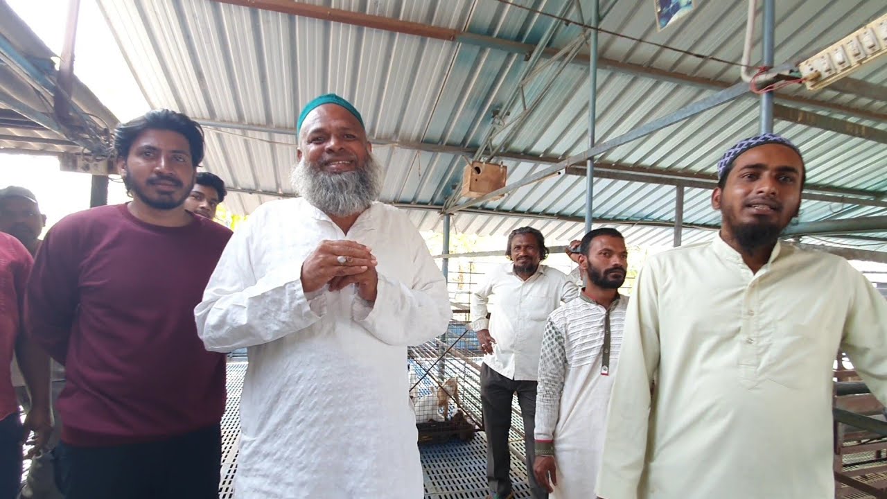 AMG Goat And Sheep Farm Mahabubnagar | Hitech Farm All Breeds Hyderabad.