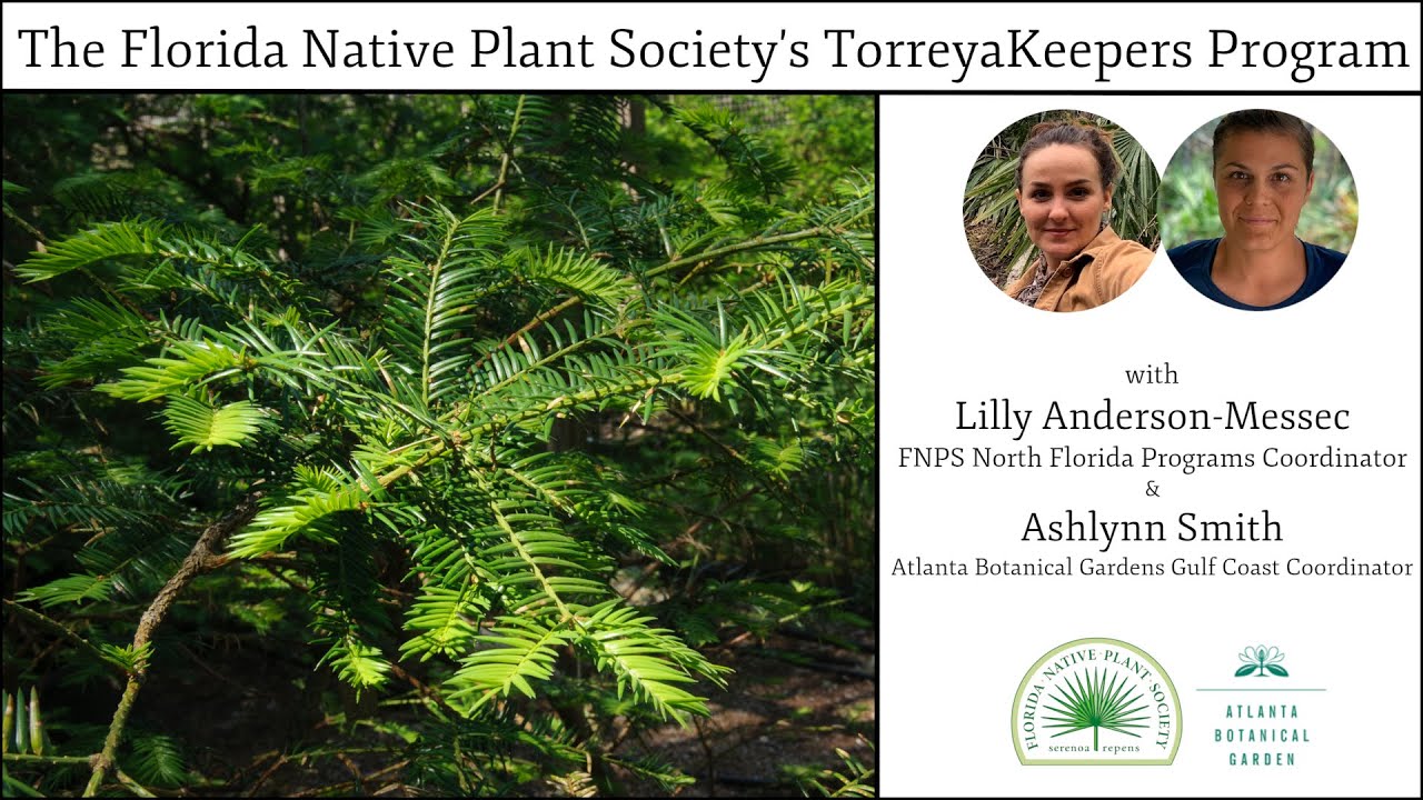 The Florida Native Plant Society's TorreyaKeepers Program