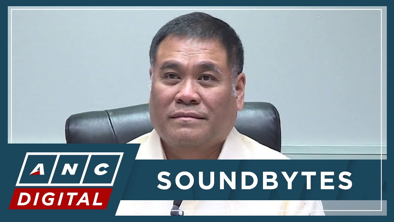 Leviste welcomes House probe into solar firm: I'm 100% for transparency, accountability | ANC