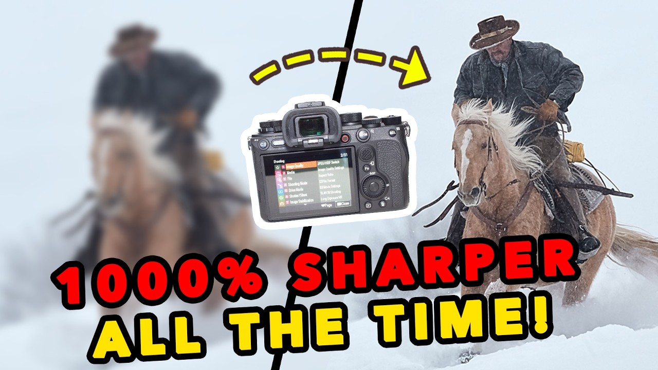 The Secret to get SHARP Wildlife Photos