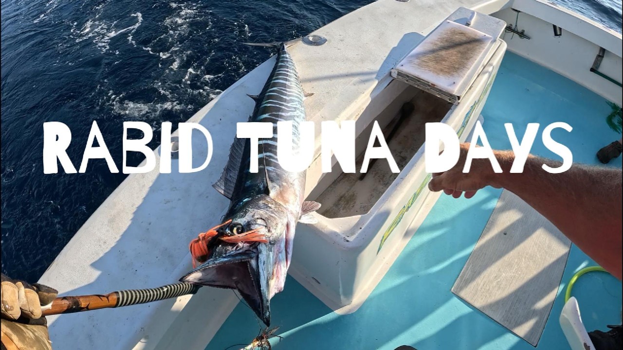 Rabid Tuna Days