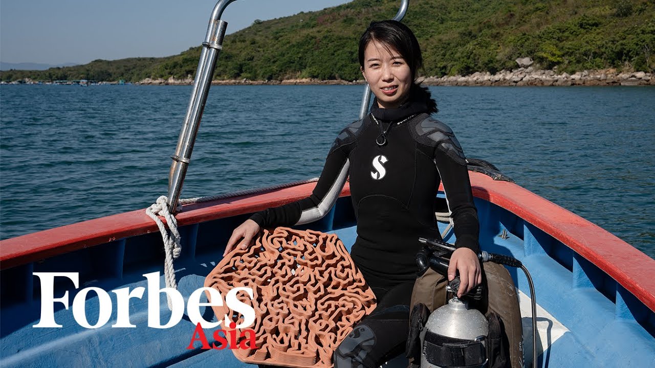 Meet The Marine Biologist-Turned-Entrepreneur Restoring Coral Reefs Using 3D Printing And Clay