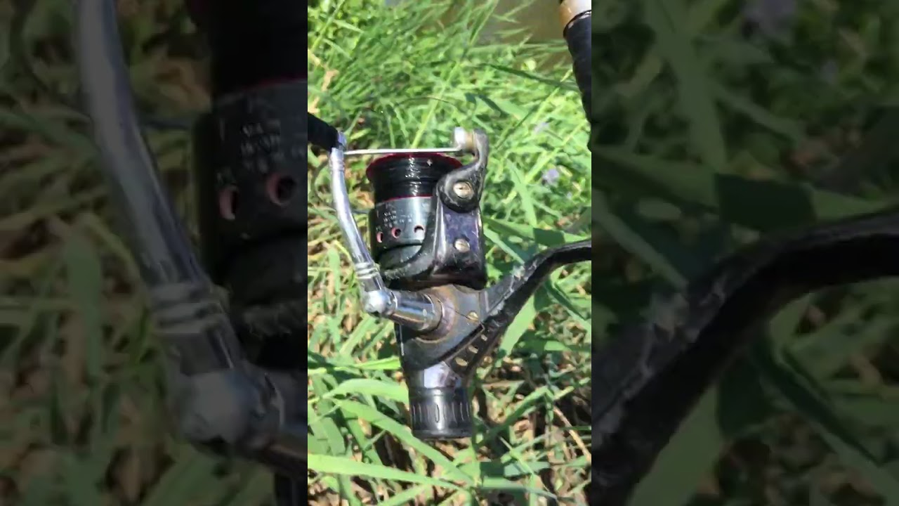 فيديو قديم لعدم غلق القناه