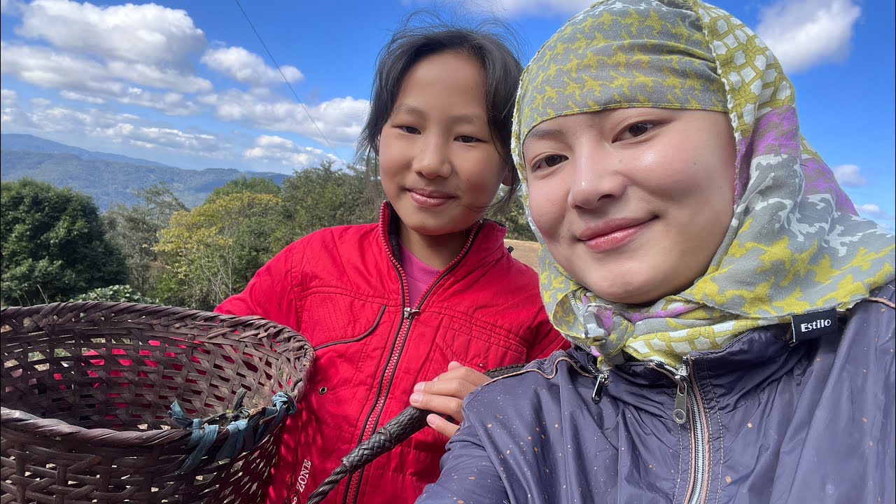 “Family fun:Harvesting cabbage with mom,me and the kids”