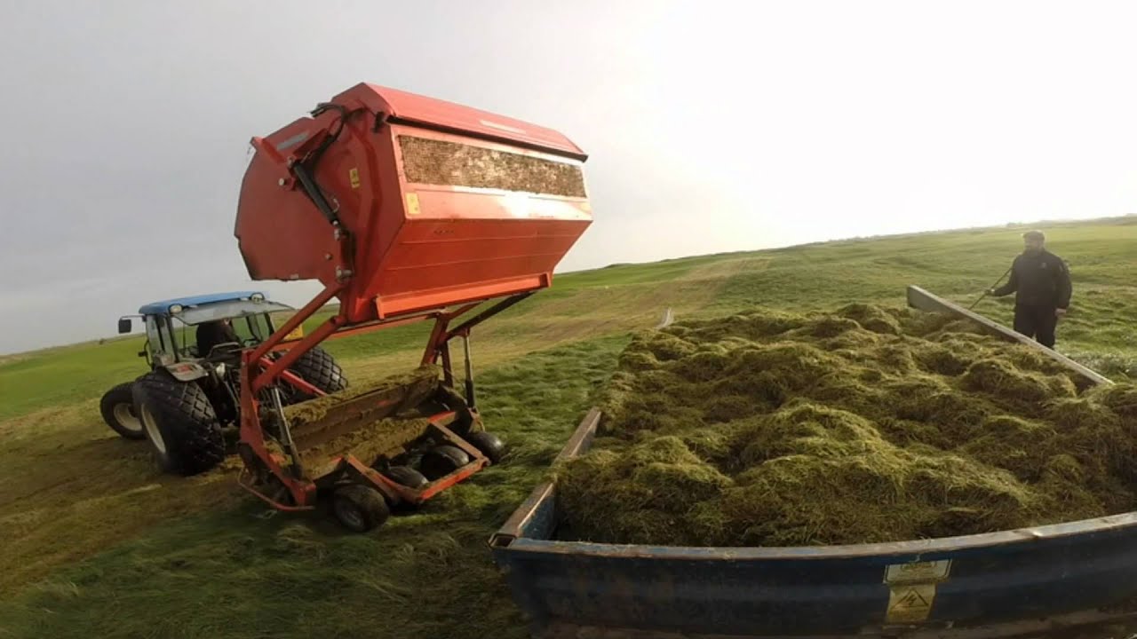 Royal Cinque Ports Winter Greenkeeping