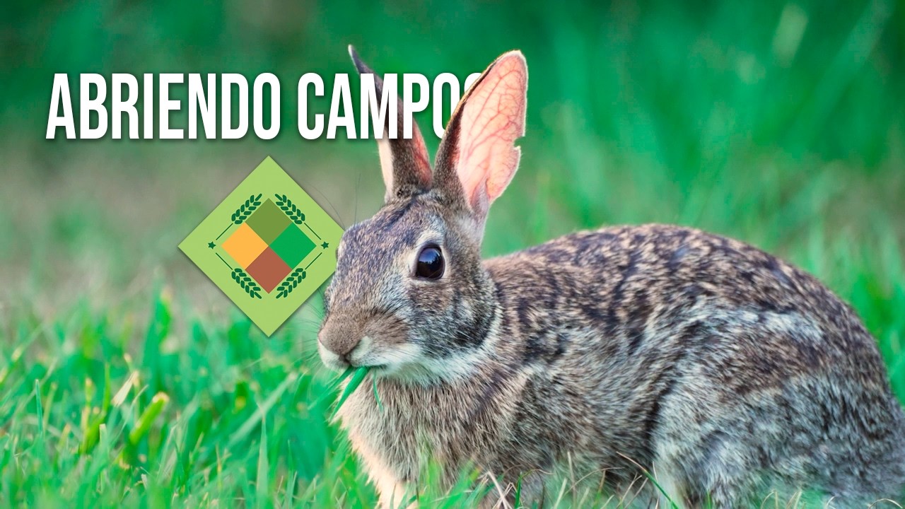 Abriendo Campos - 5 de marzo de 2026 - 1ª Parte