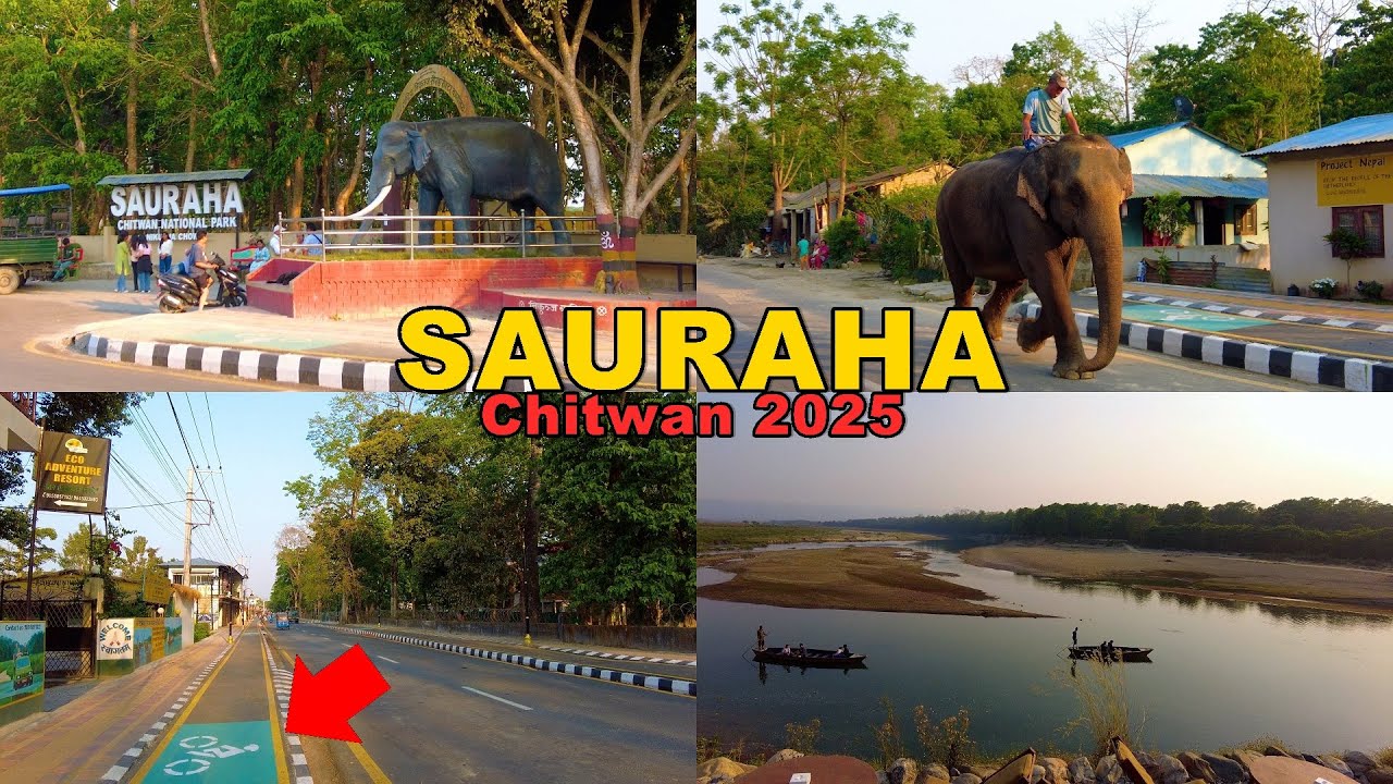 🇳🇵Sauraha Brand New LOOK & CHANGED After Mayor Action in CHITWAN, Nepal [4K🇳🇵] 2025