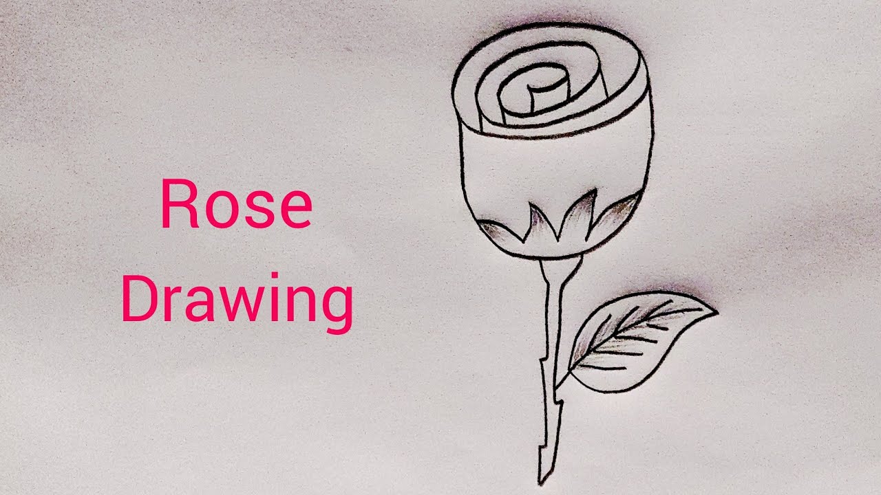 ROSE DRAWING EASY 🌹🌹| How to Draw a Rose step by step | गुलाब फूल का सुन्दर चित्र 🌹