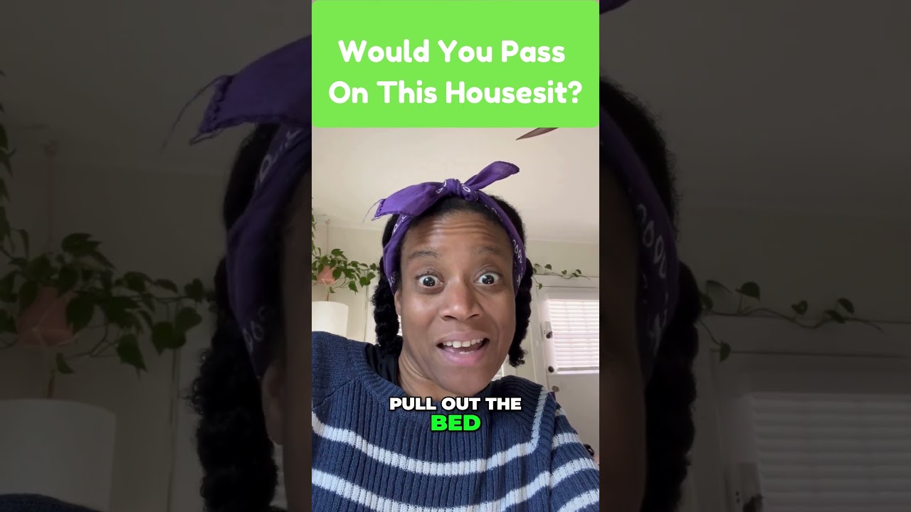 Pullout Bed a Dealbreaker! Would You Take This Housesit 