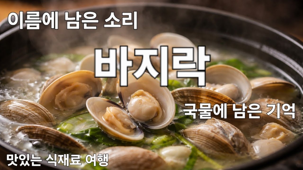🐚🍲 바지락 — 이름에 남은 소리, 국물에 남은 기억