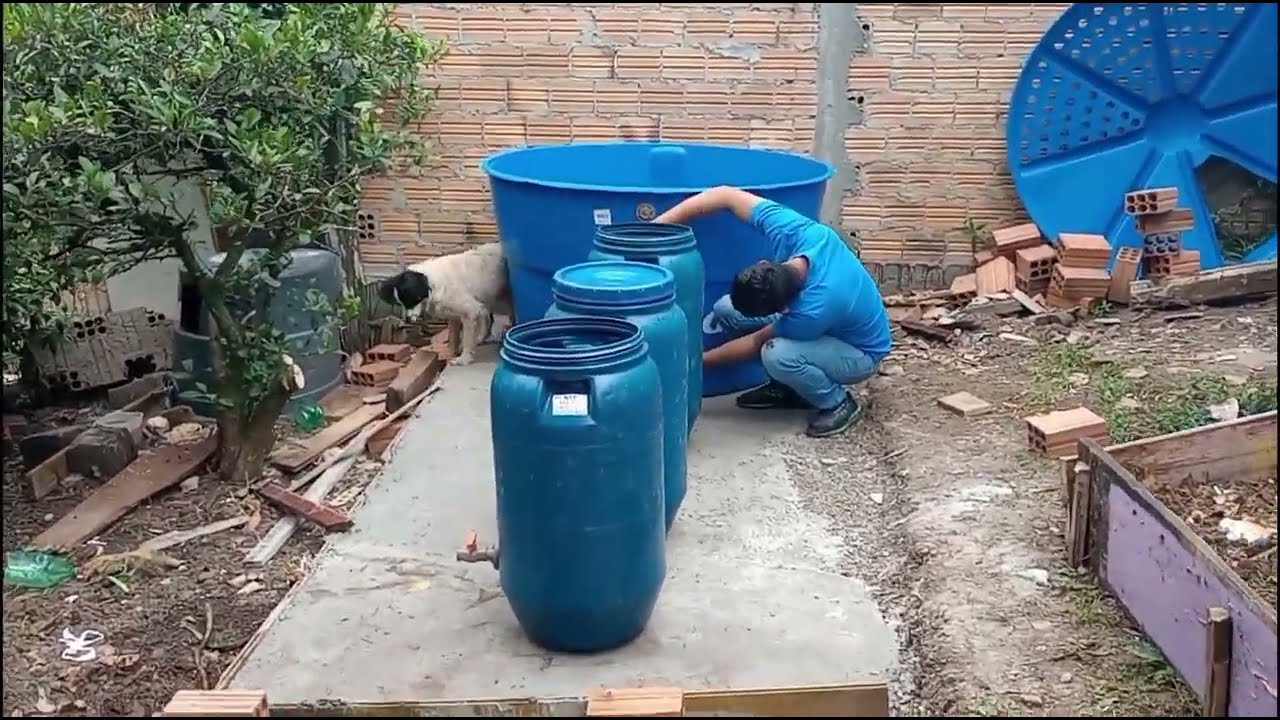 Retrabalho do sistema de criação peixes em caixa d