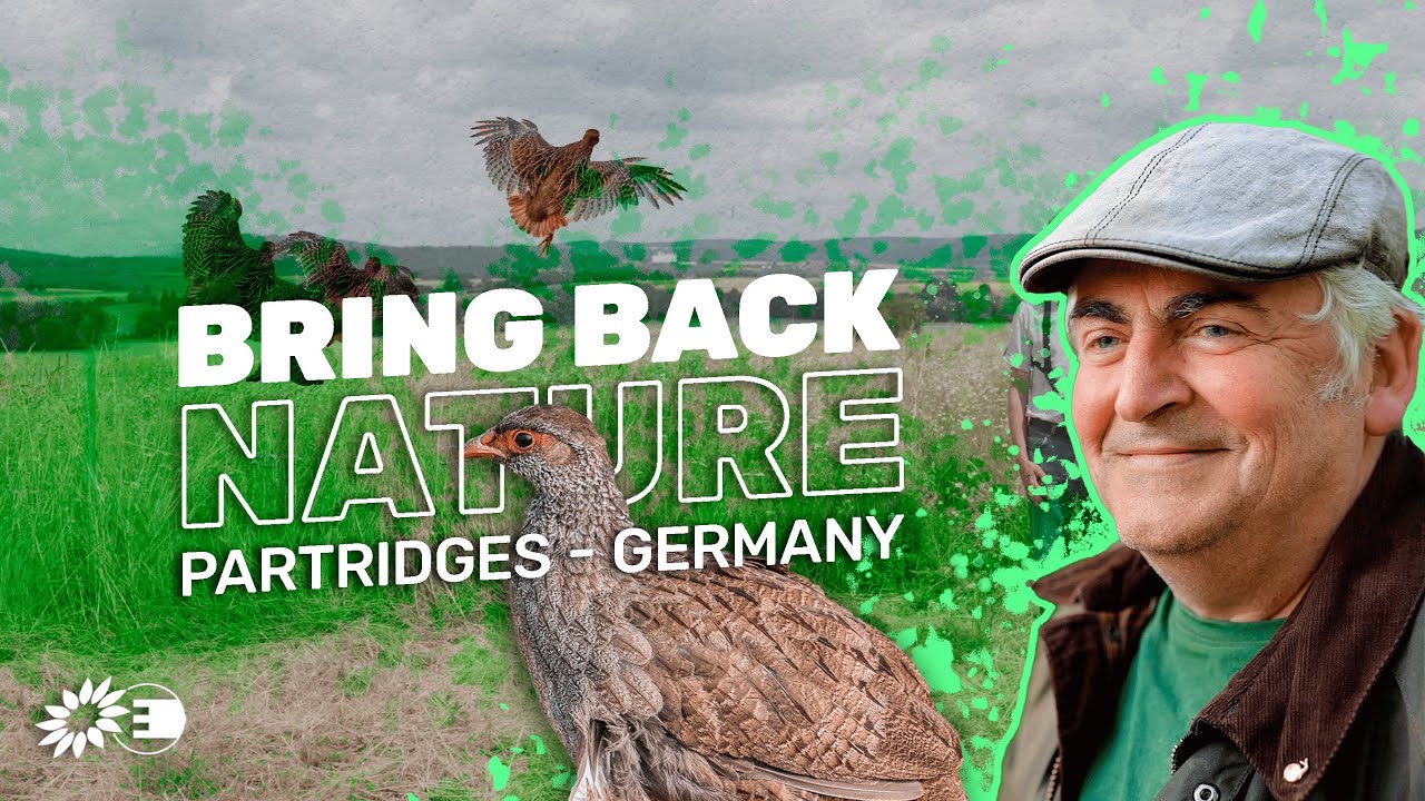 Bring back nature in Germany