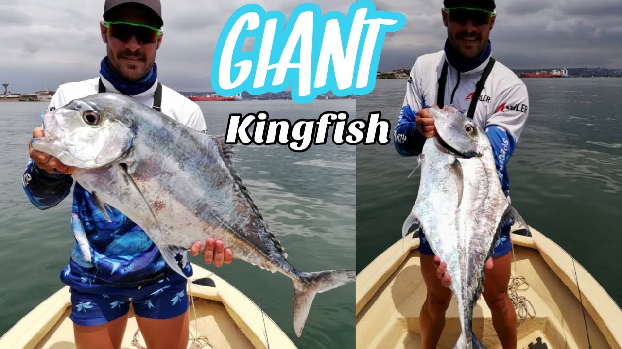 Fishing Durban Harbour - GIANT KINGFISH !!!