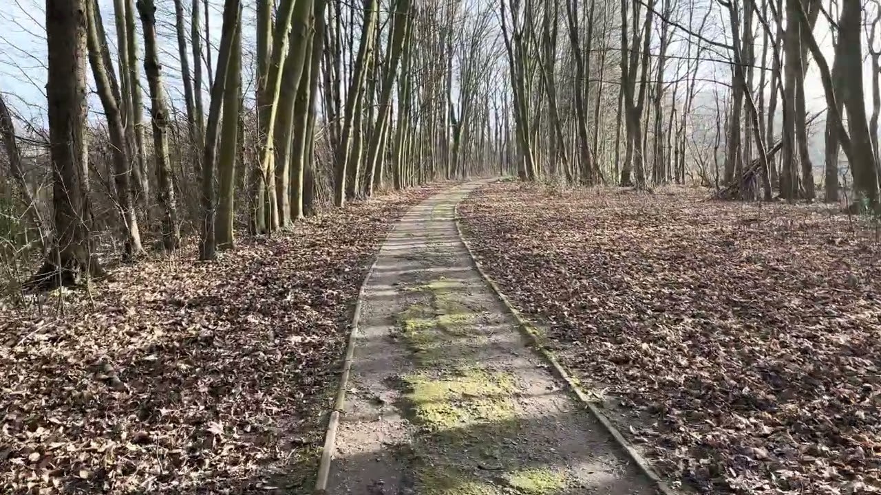 25/01/26 J’ Vous emmène en Ballade?…