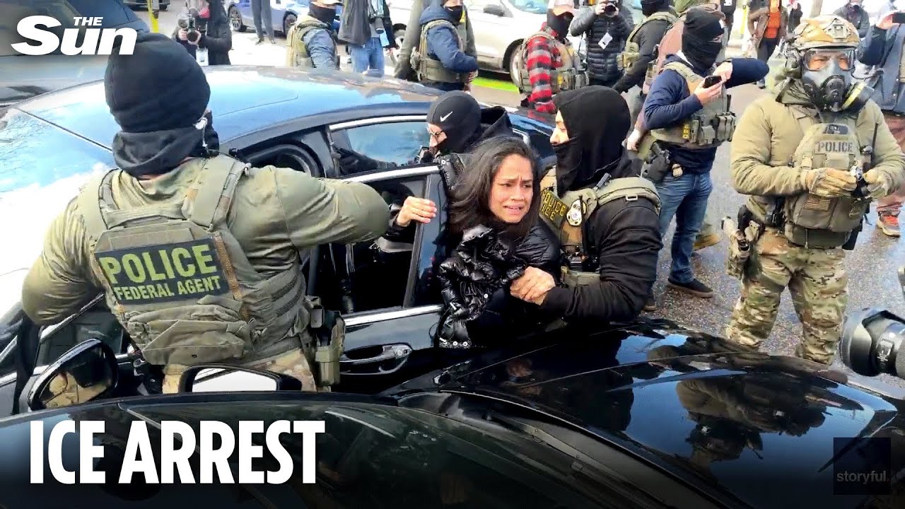 Horrifying moment ICE agents forcibly remove woman from car as she 'blocked' the road in Minnesota